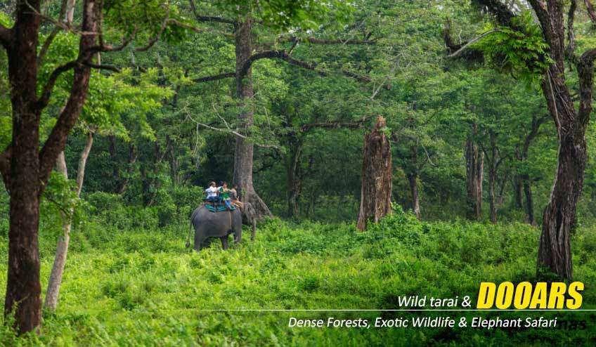 Dooars Package Tour from Siliguri 