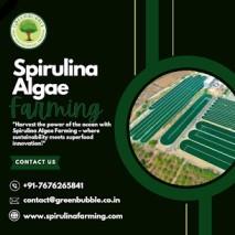 Spirulina Farming Solution | Spirulina Algae Farming