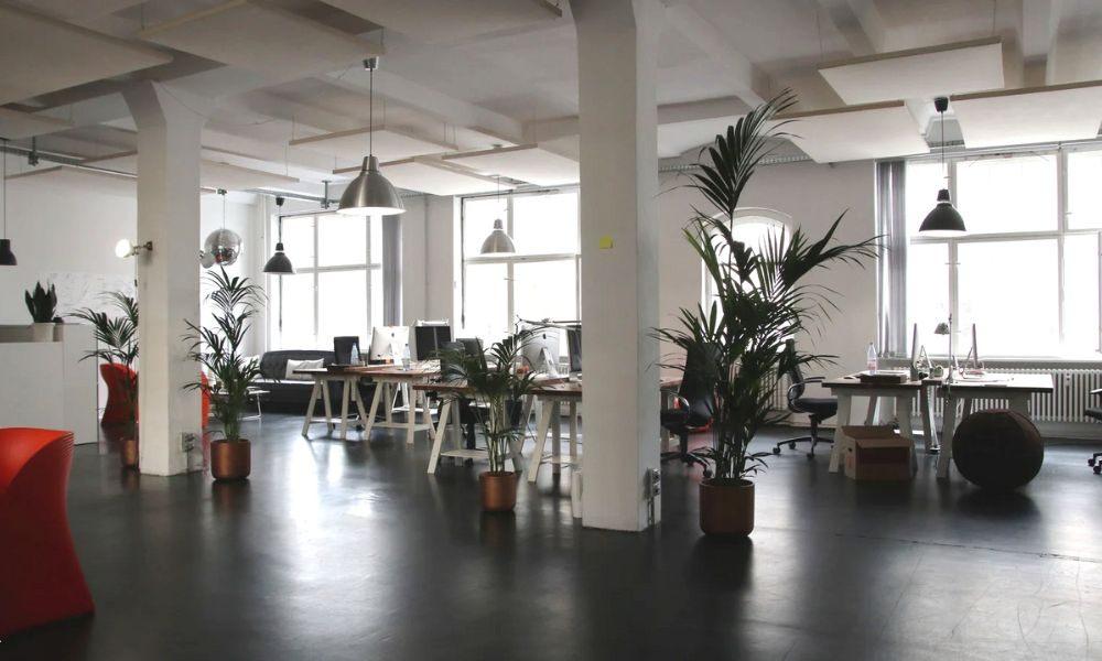 Revamp Your Office with Concept Ventures: Where Design Meets Innovation