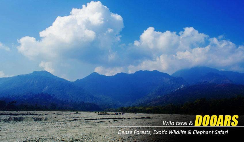 Unwind Amidst Nature with a Dooars Package Tour from NJP