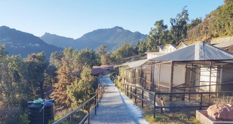 Discover Nainital Zoo: A Wildlife Haven