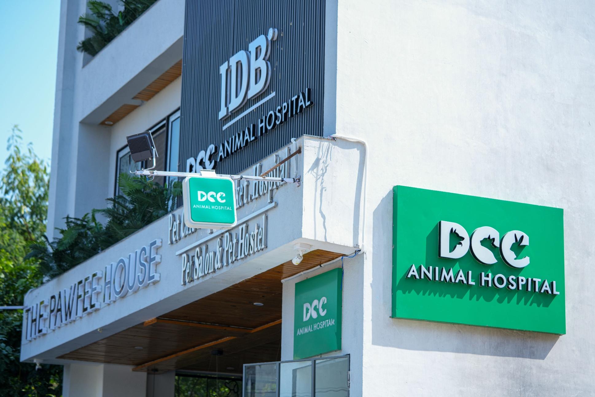 Best Vet in Jaipur - DCC Animal Hospital