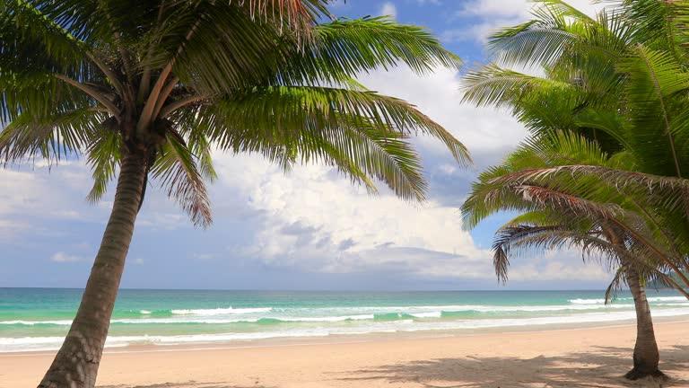 Exclusive Andaman Package Tour from Kolkata : Limited Offer!