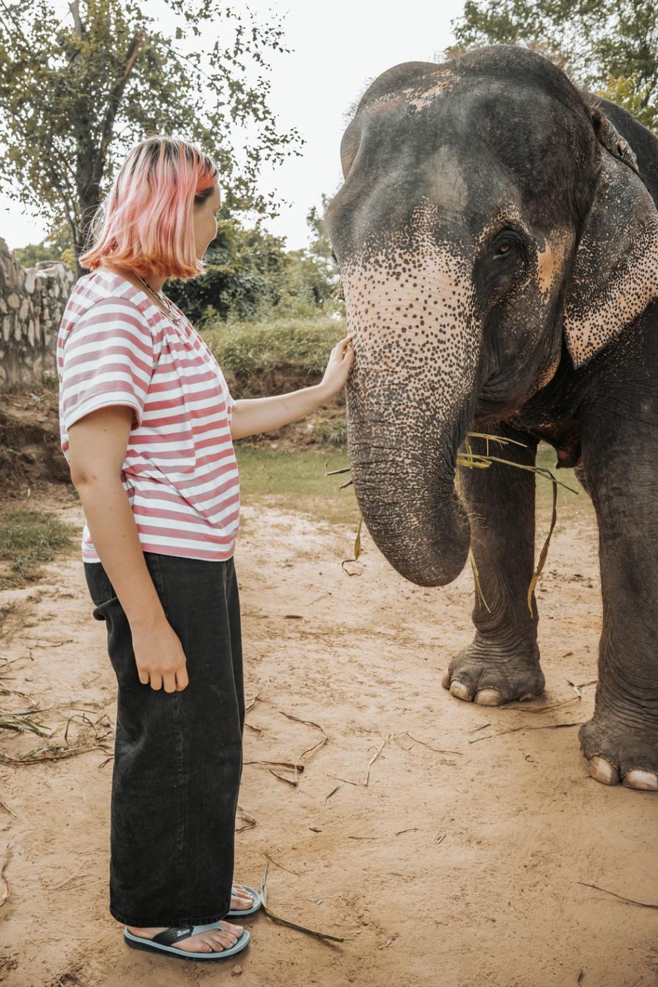 Unforgettable Elephant Experiences in Jaipur! 