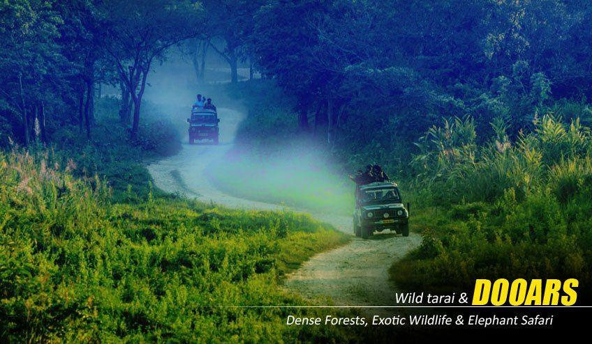 Thrilling Jungle Safaris with Dooars Tour Packages from Kolkata