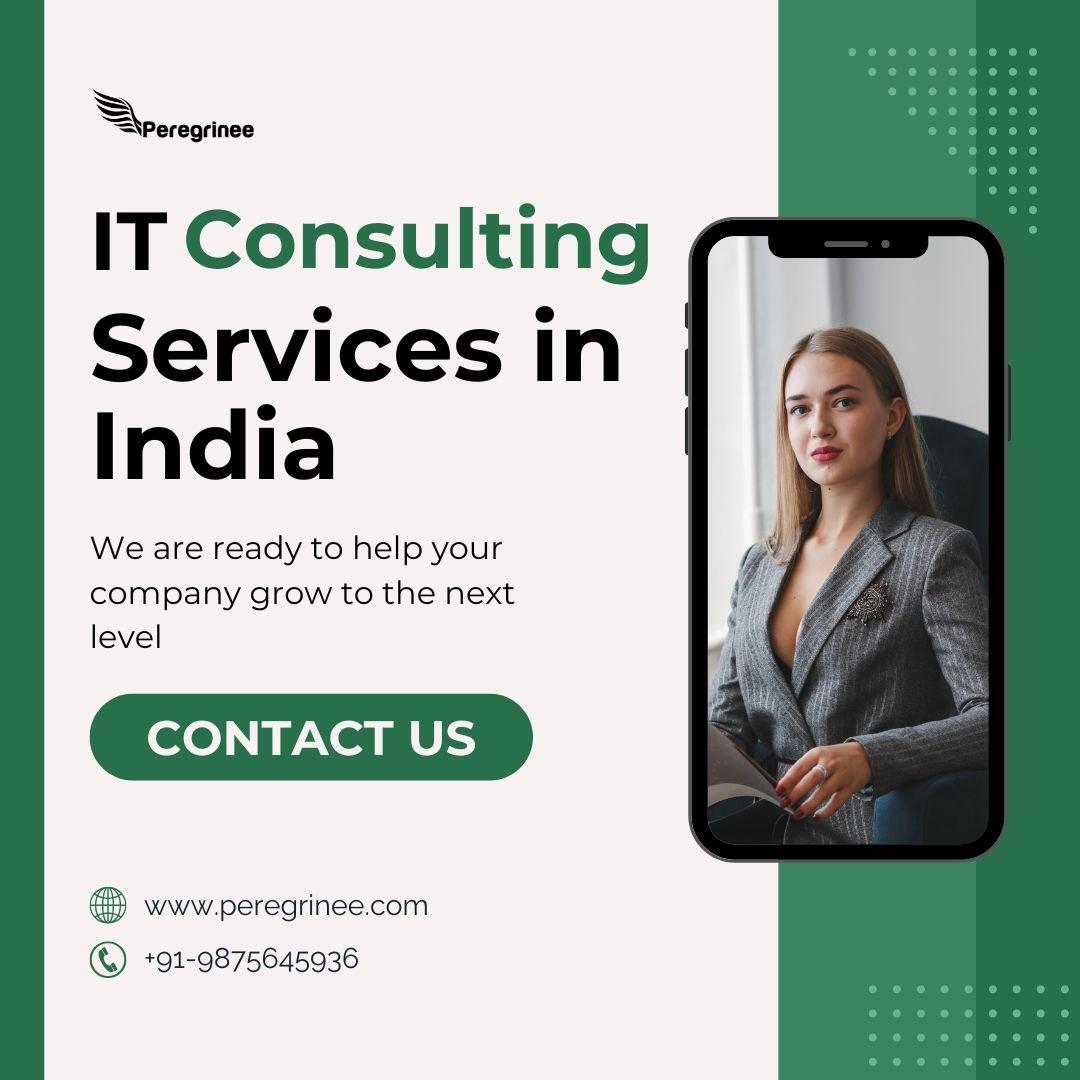 Peregrinee: Your Partner for the Best IT Consulting Service in India