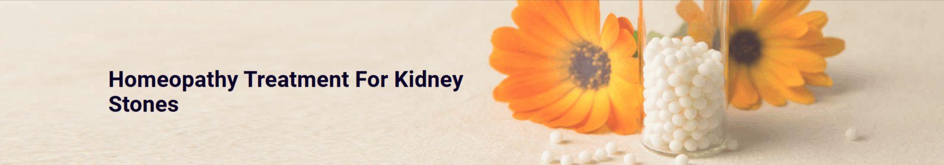 Kidney stones treatment in HSR Layout Bengaluru - Anand Homeopathy Clinic