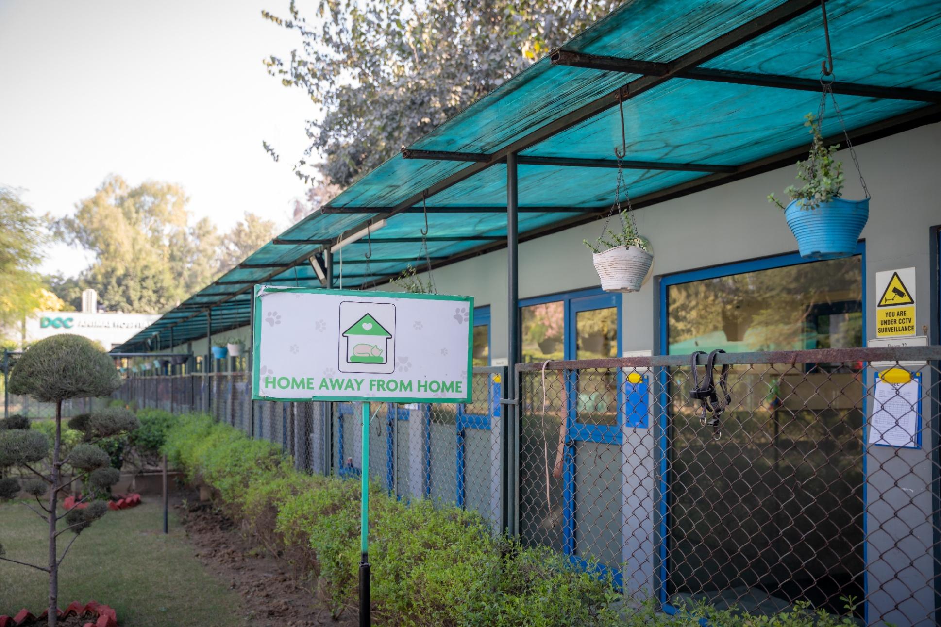 Best Pet Boarding in Gurgaon - DCC Animal Hospital