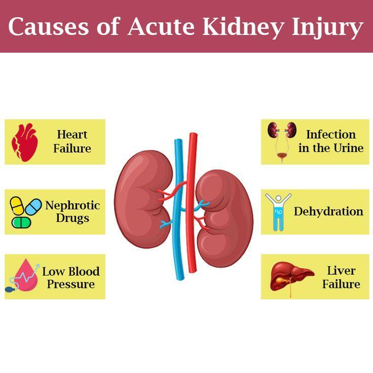 What are the common causes of kidney failure?
