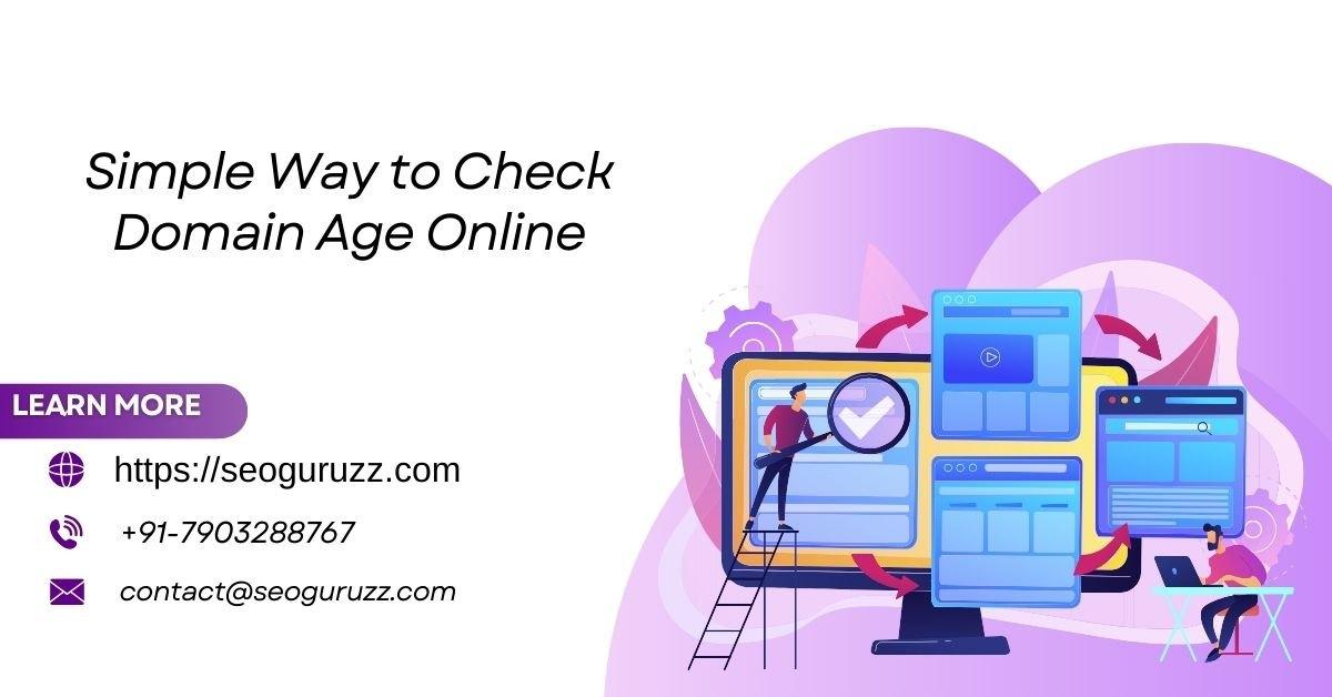 Simple Way to Check Domain Age Online