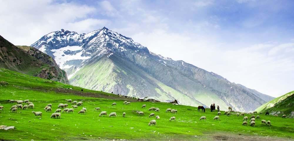 Experience Paradise: Kashmir Offbeat Tour Packages from Delhi!