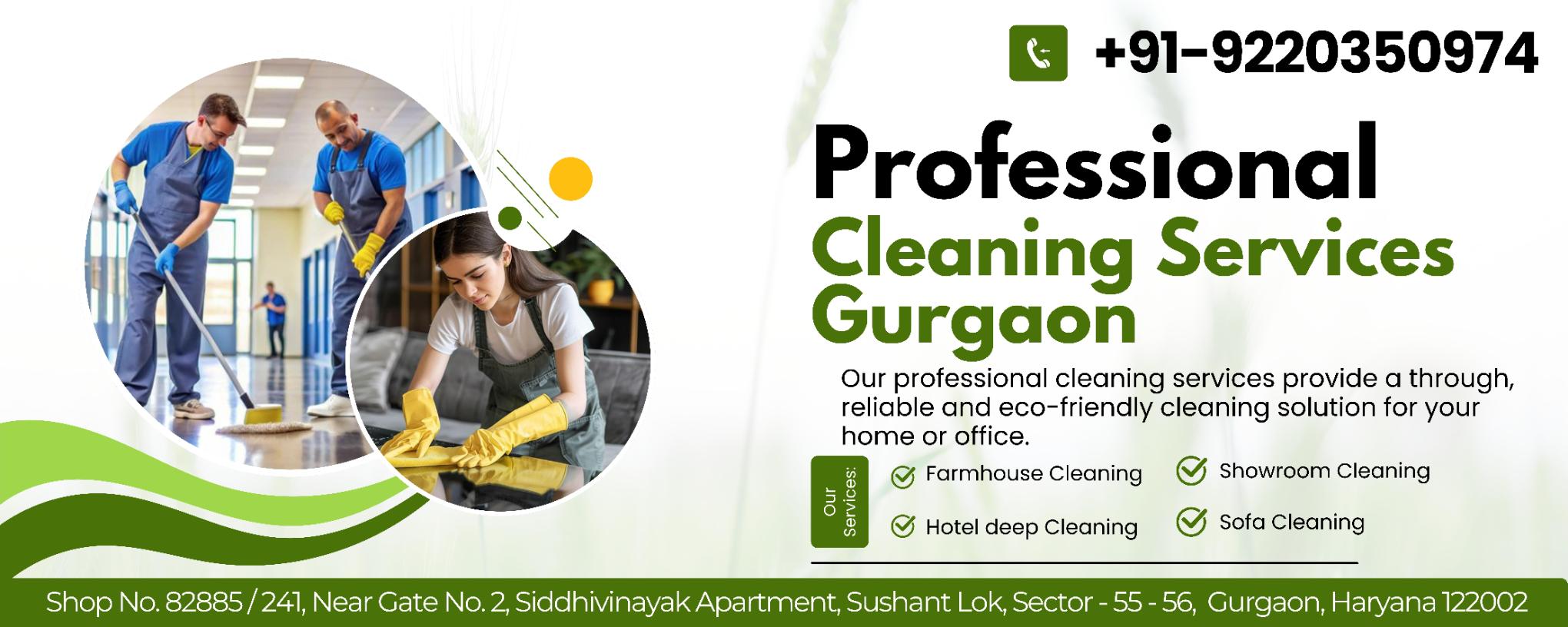 Professional Cleaning Services - 9220350974