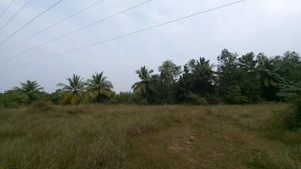 SDN FARMS AT KILOY VILLAGE 