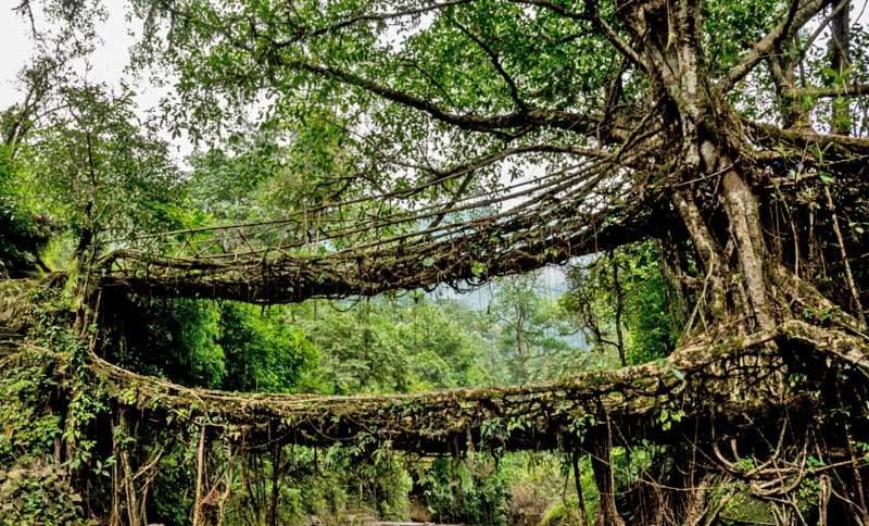 Book Meghalaya Package Tour with Wari Chora, Tura, Garo Hills