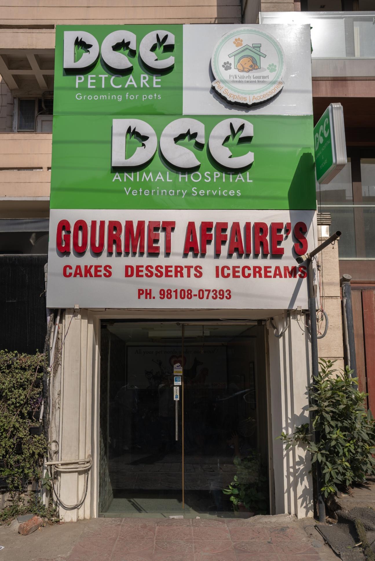 Pet Clinic in Greater Kailash DCC Animal Hospital