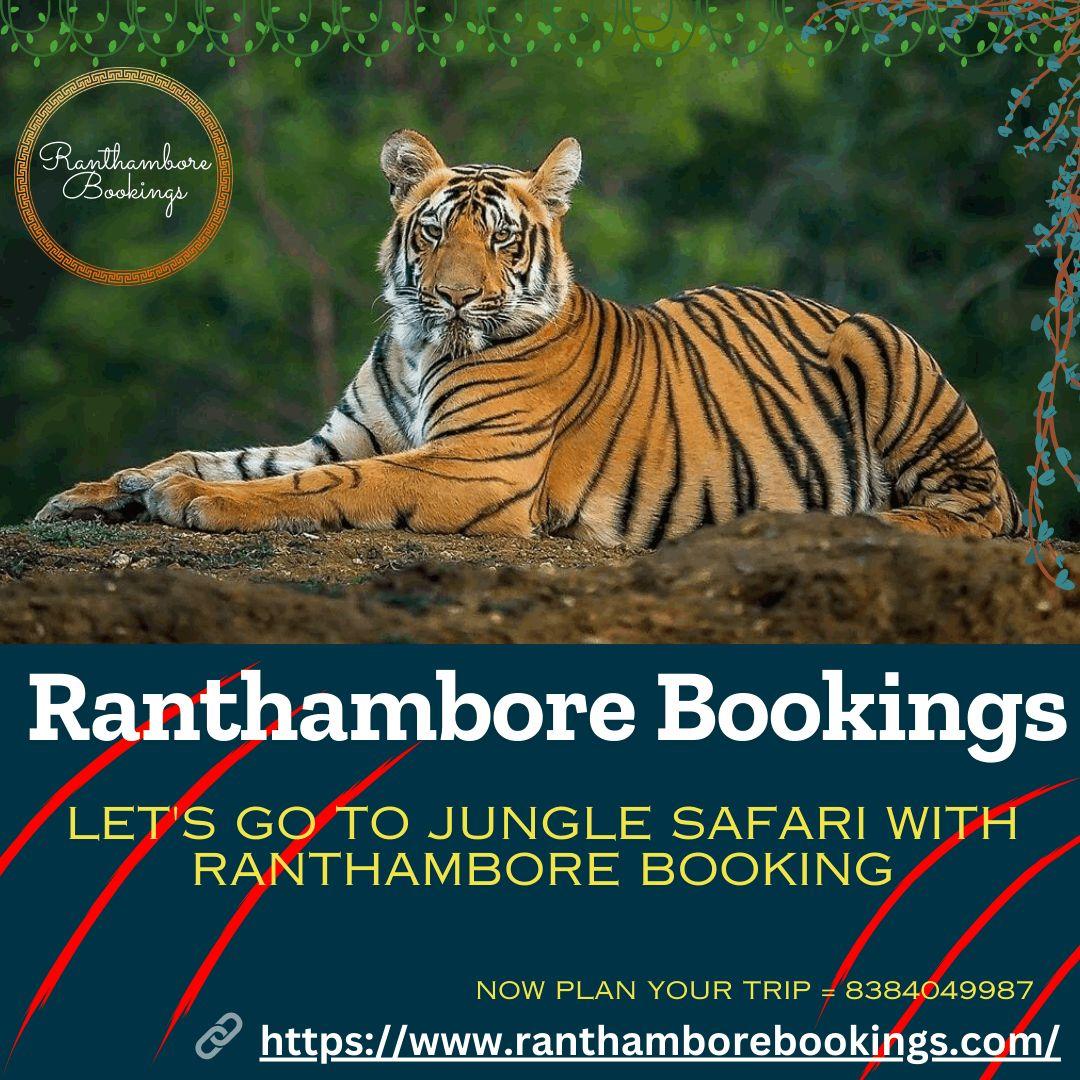  Ranthambore Tiger Safari booking Online