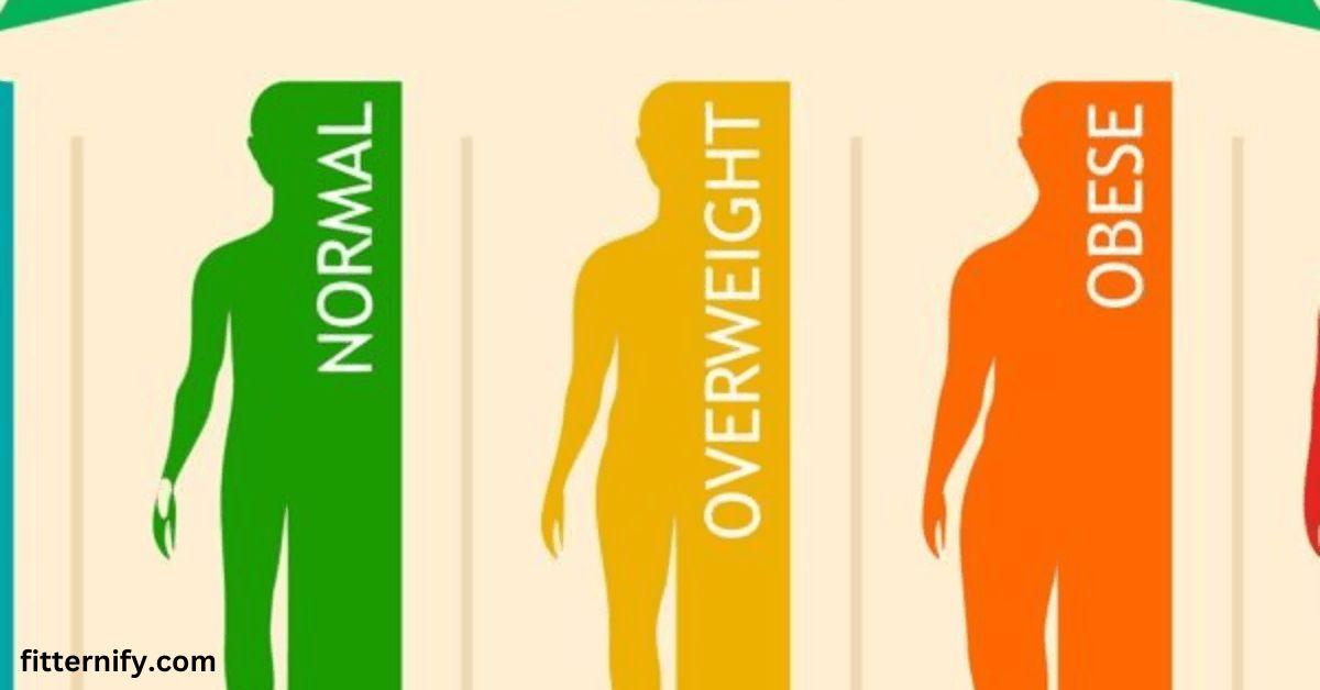 BMI Calculator: Quickly Calculate Your Body Mass Index