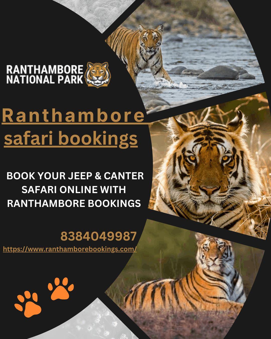 Ranthambore Tiger Safari booking Online