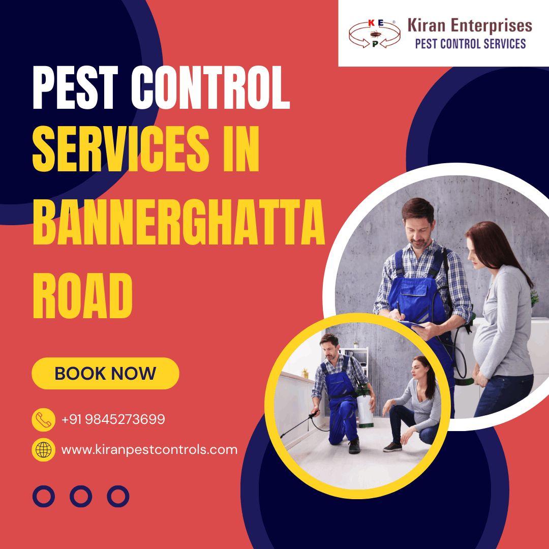 Pest Control Services in Bangalore | Safe & Effective Solutions