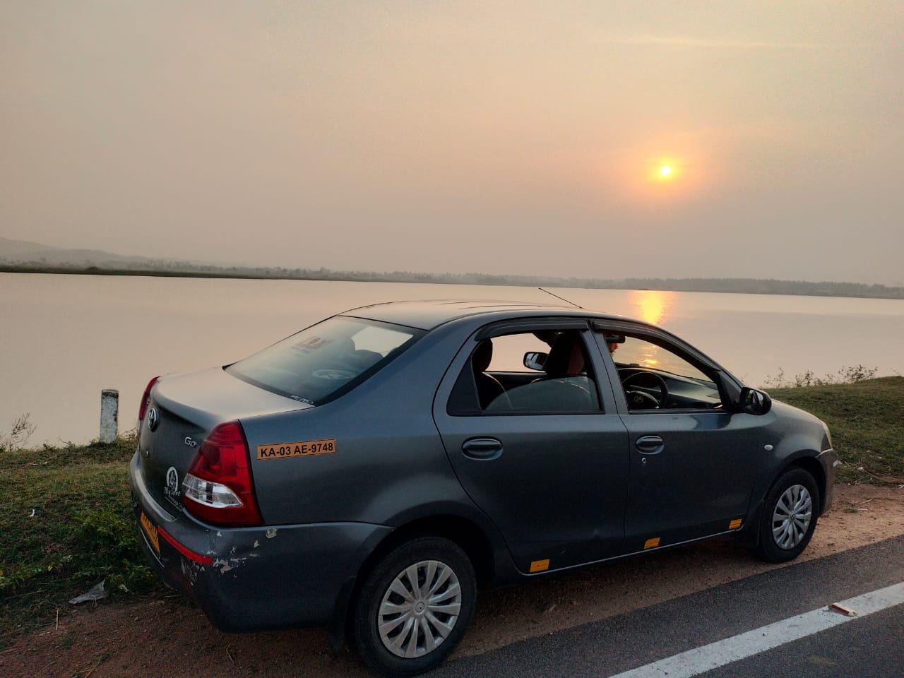 Fox Travels Valentine's Day Sale