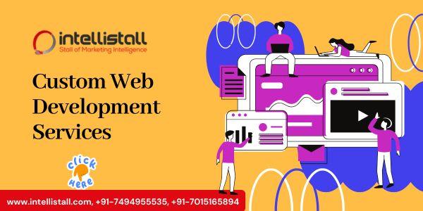 Custom Web Development Services in India