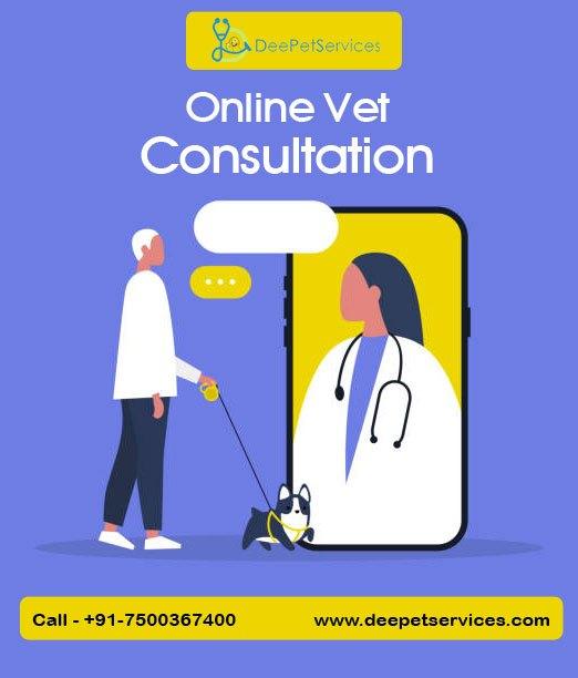 Online Vet Consultation - Get Virtual Consultation for Your Pets