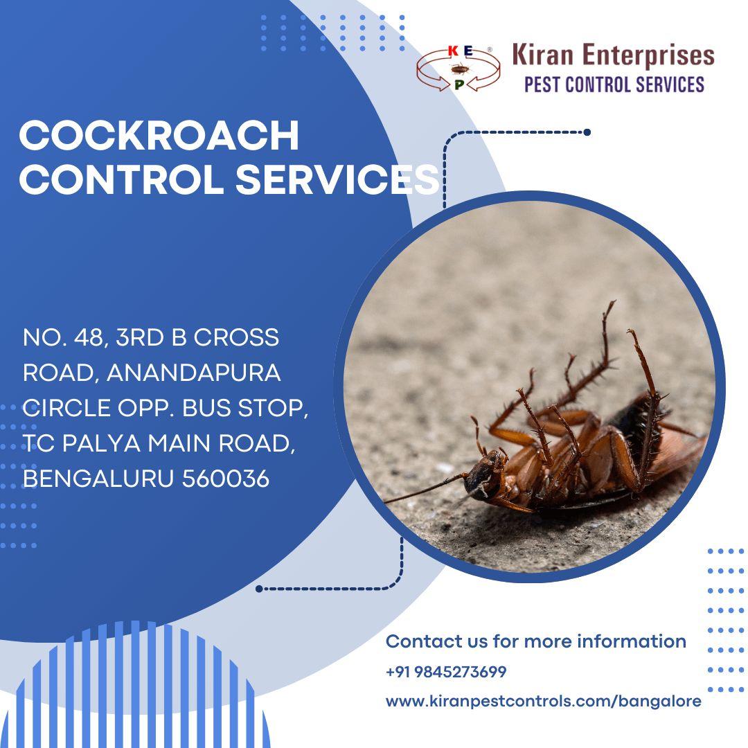 Cockroach Control Services in Bannerghatta Road | Safe & Trusted