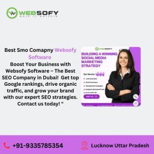 Best SMO Company In Lucknow Websofy Software 