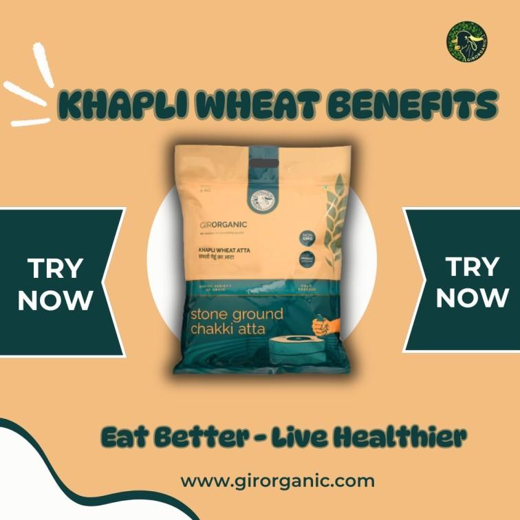 Buy Organic Khapli Wheat  Boost Health with Nutrient-Rich 