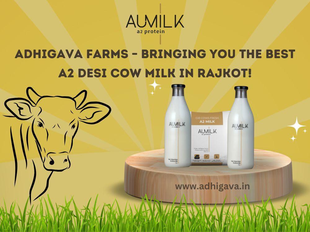 Adhigava Farms Bringing You the Best A2 Desi Cow Milk in Rajkot!