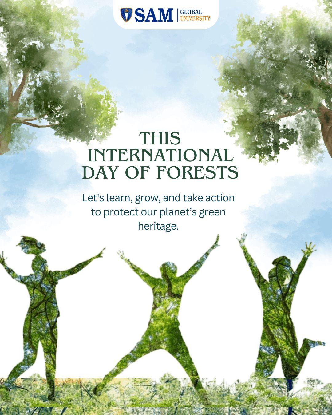  Happy International Day of Forests! 