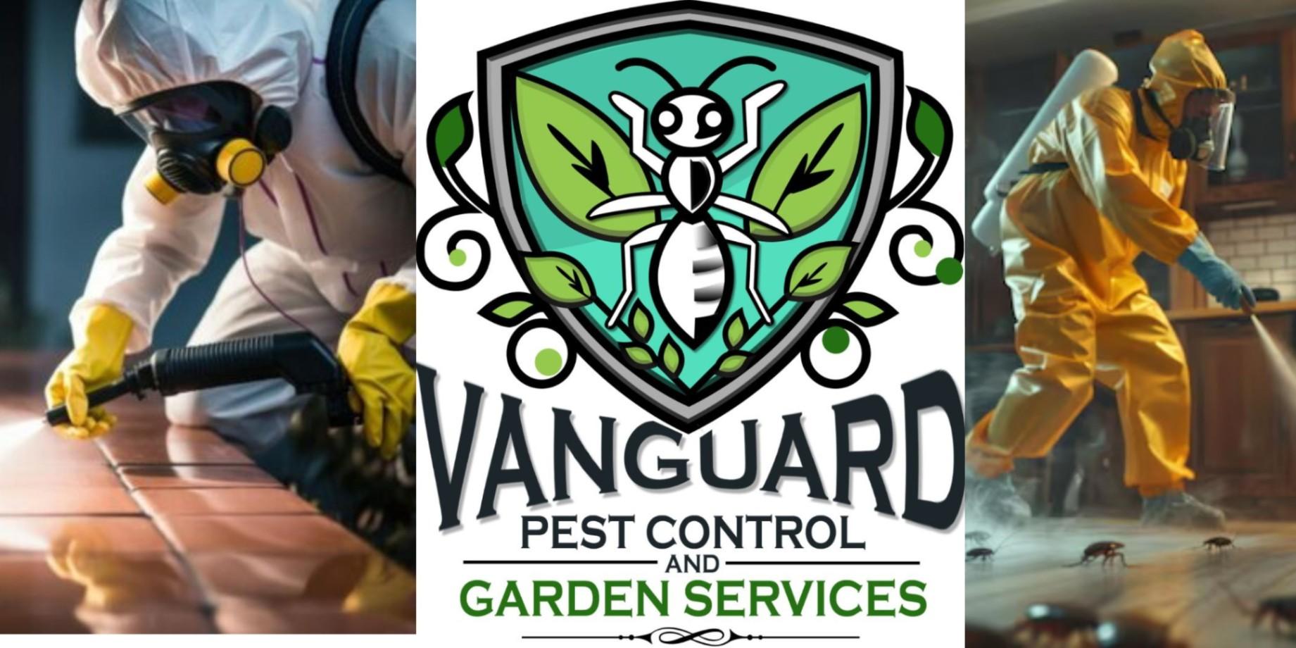 Termite Pest Control Melbourne by Vanguard Eco Solutions