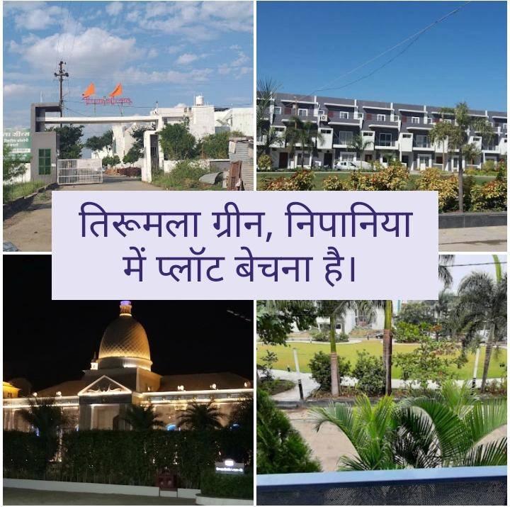  Plot For Sale At Tirumala Greens,Nipania.