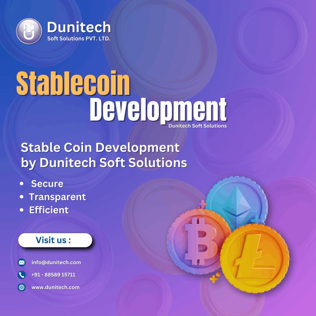 Custom Stablecoin Solutions  in India