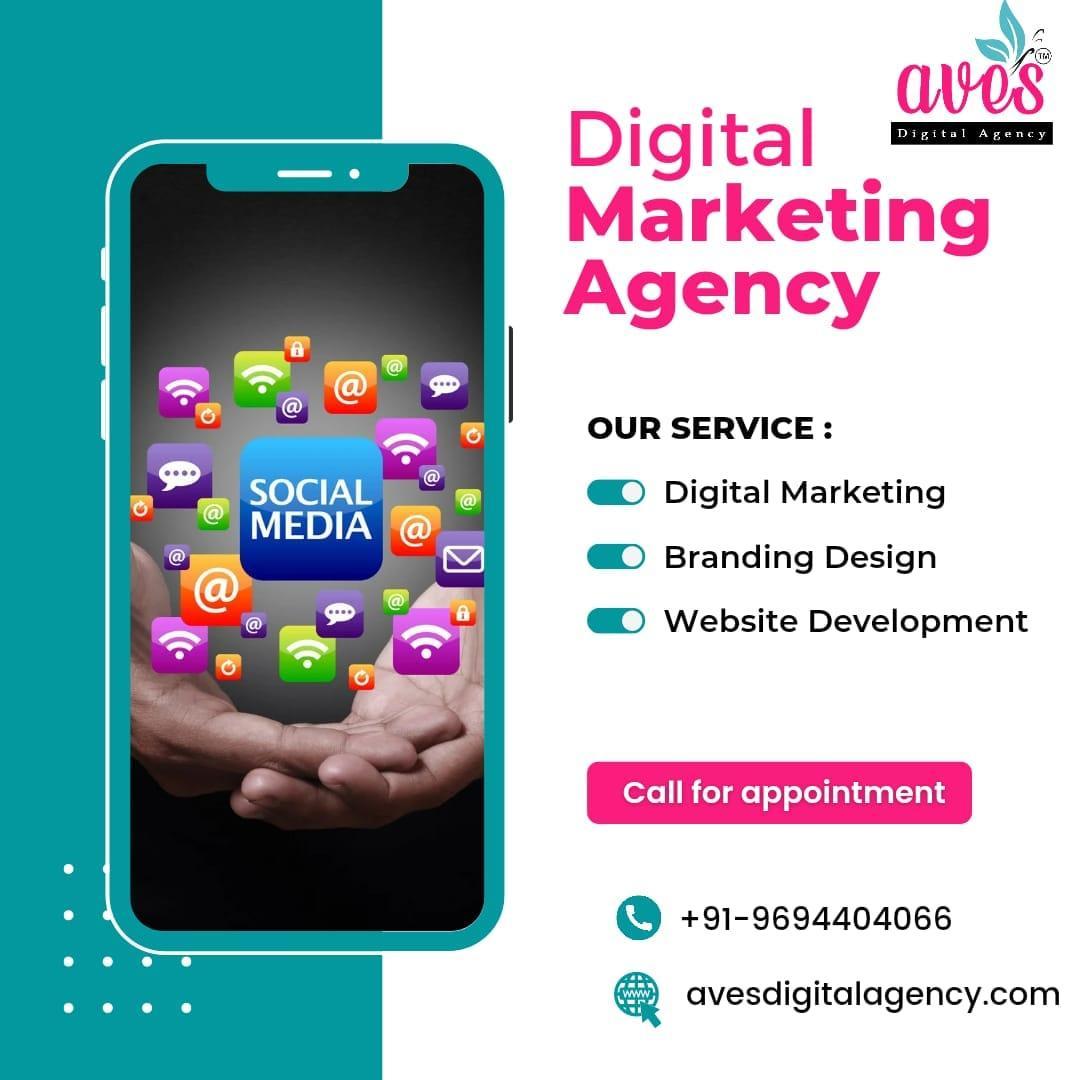 Expert Website Development Company in Jaipur | Aves Digital Agency