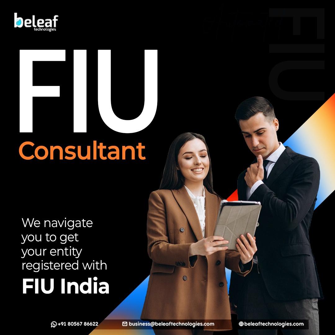 Leading FIU Consultant Services 