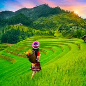 Vietnam Package Tour from Kolkata | Best Deal