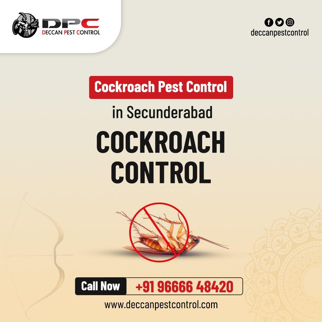 Cockroach Pest Control in Secunderabad