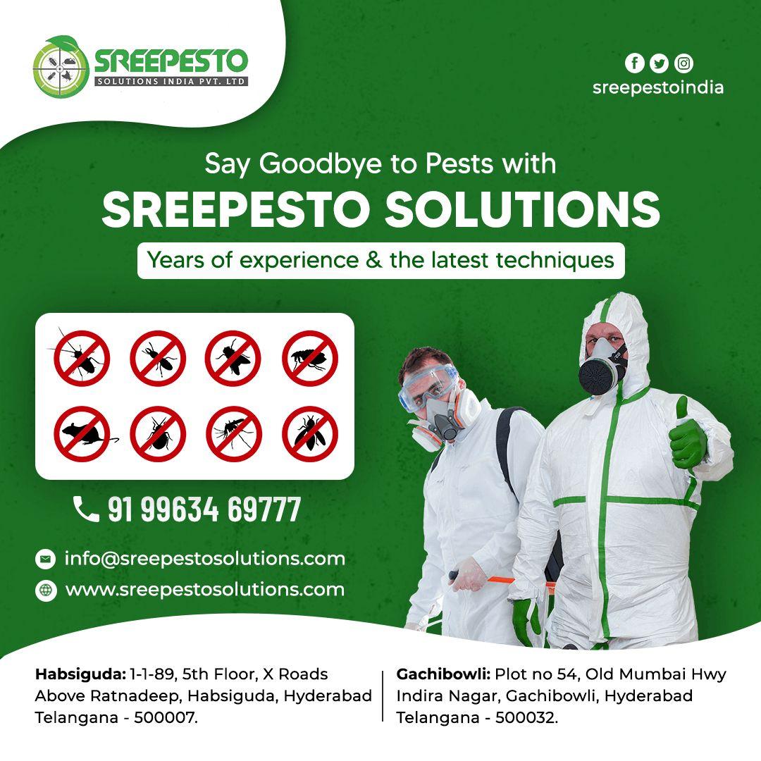 Best Pest Control Services in Hyderabad