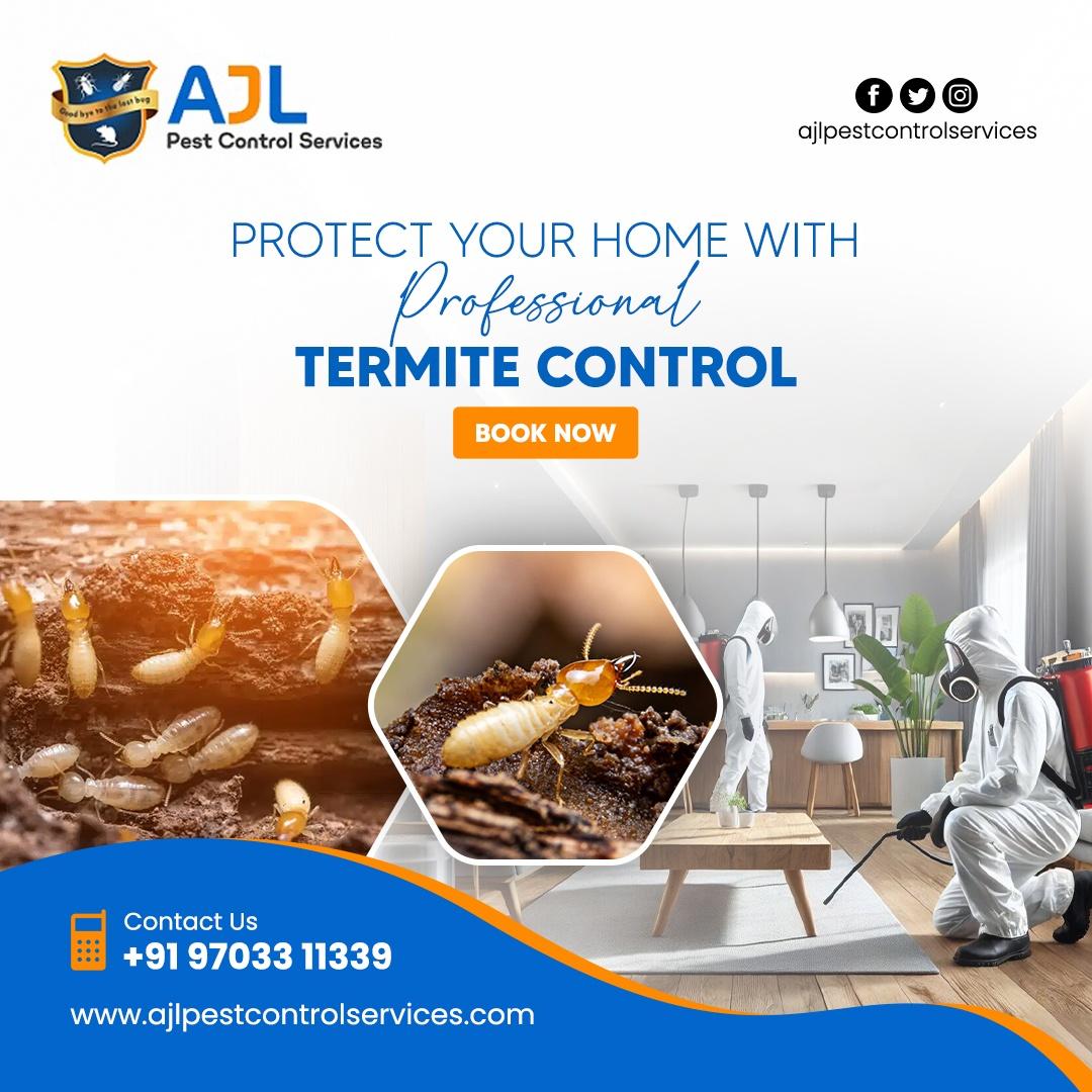 Termite Control Services in Hyderabad