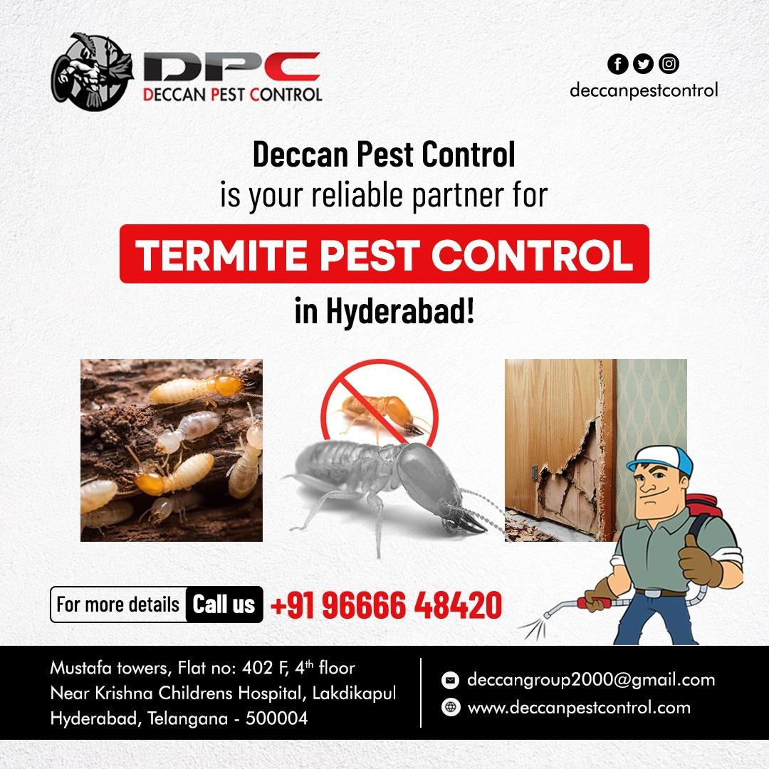 Termite Pest Control in Hyderabad