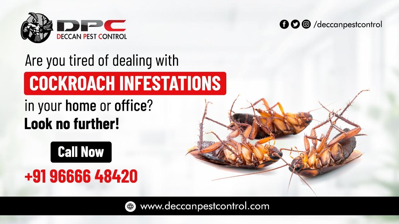 Best Cockroach Control Services in Hyderabad 