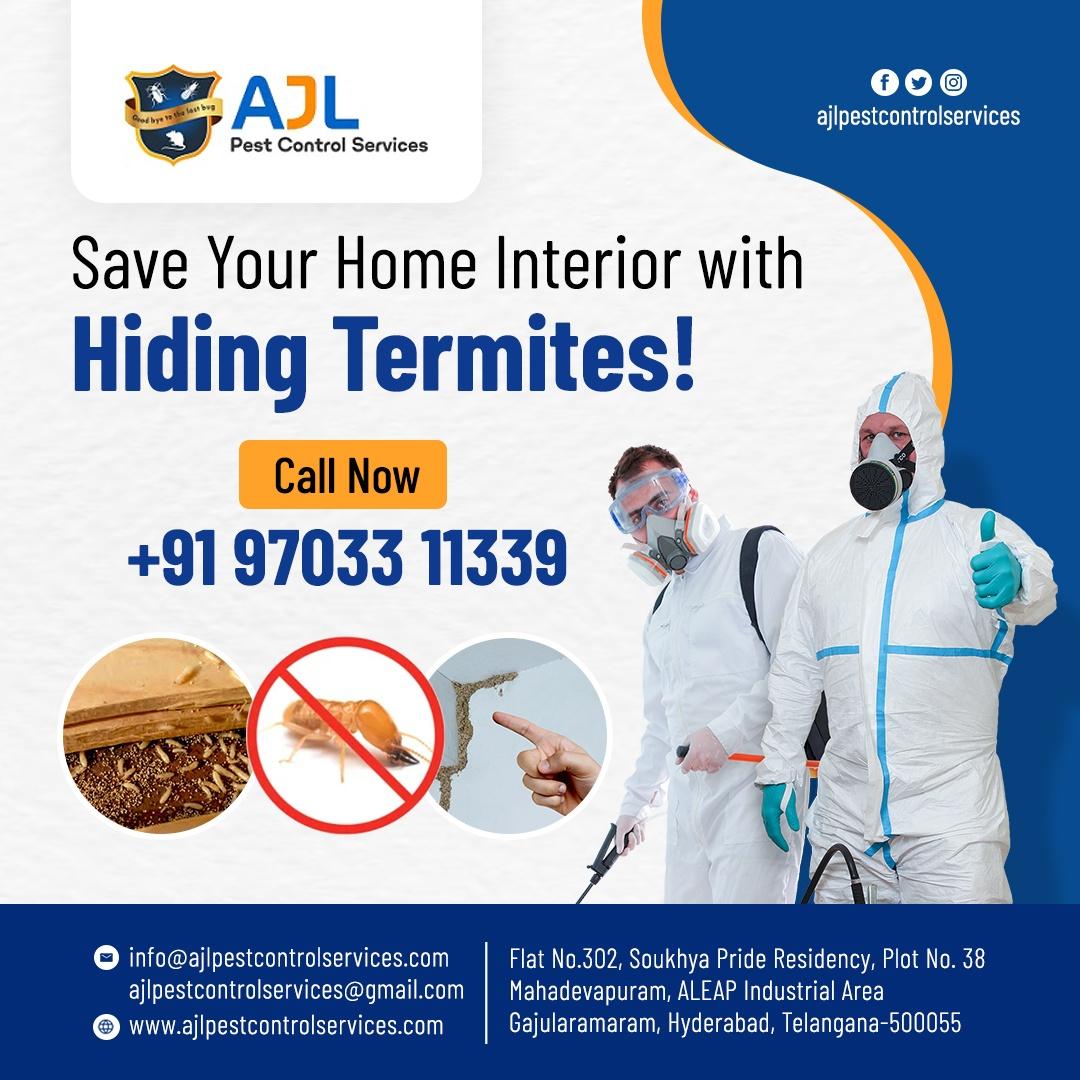 Termite Control Services