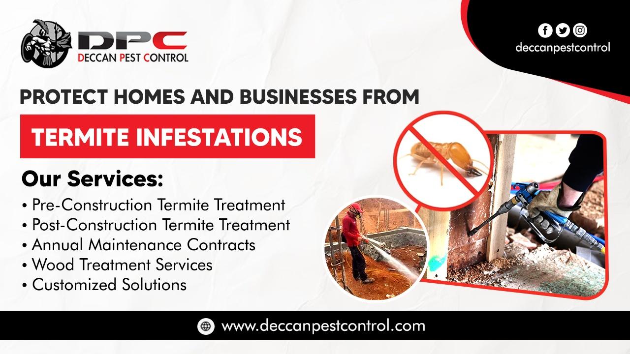 Best Termite Control Services in Hyderabad