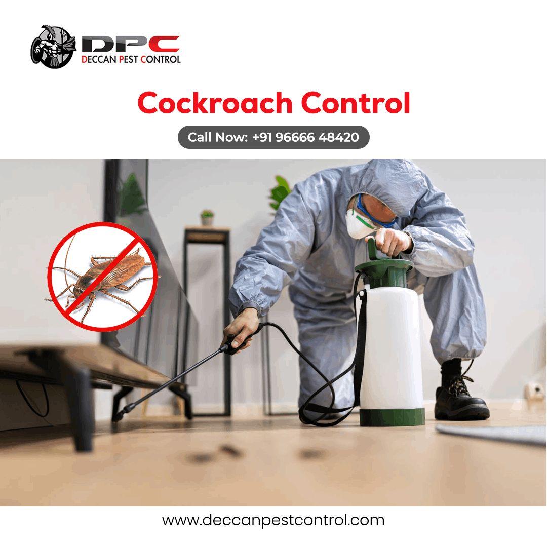 Cockroach Pest Control in Hyderabad 