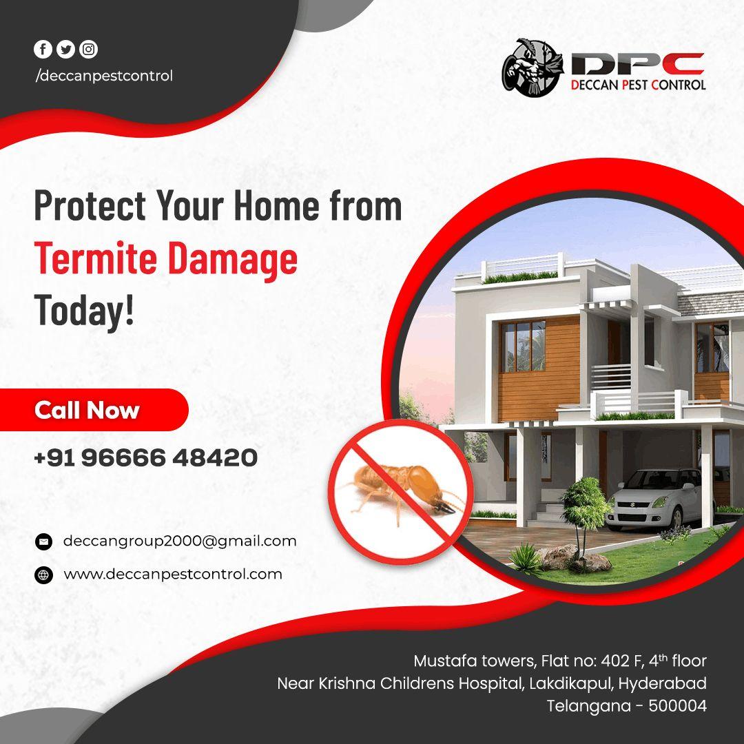 Termite Pest Control Service