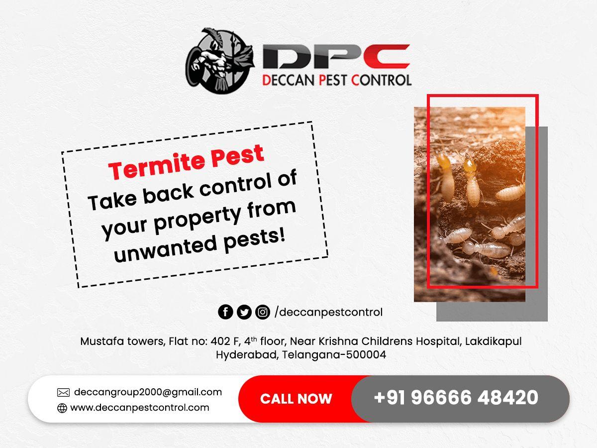 Termite Pest Control 