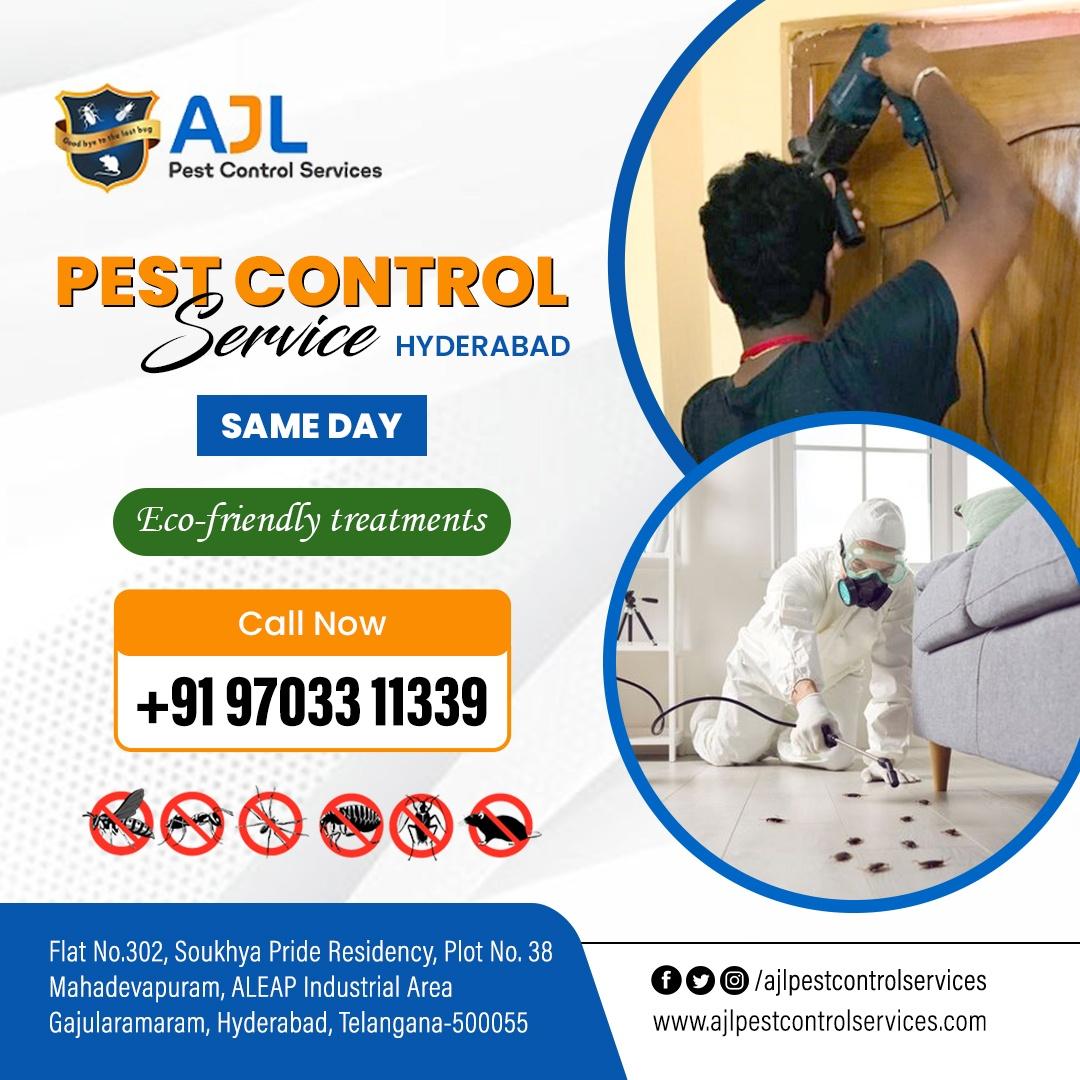 Best Pest Control Services in Hyderabad