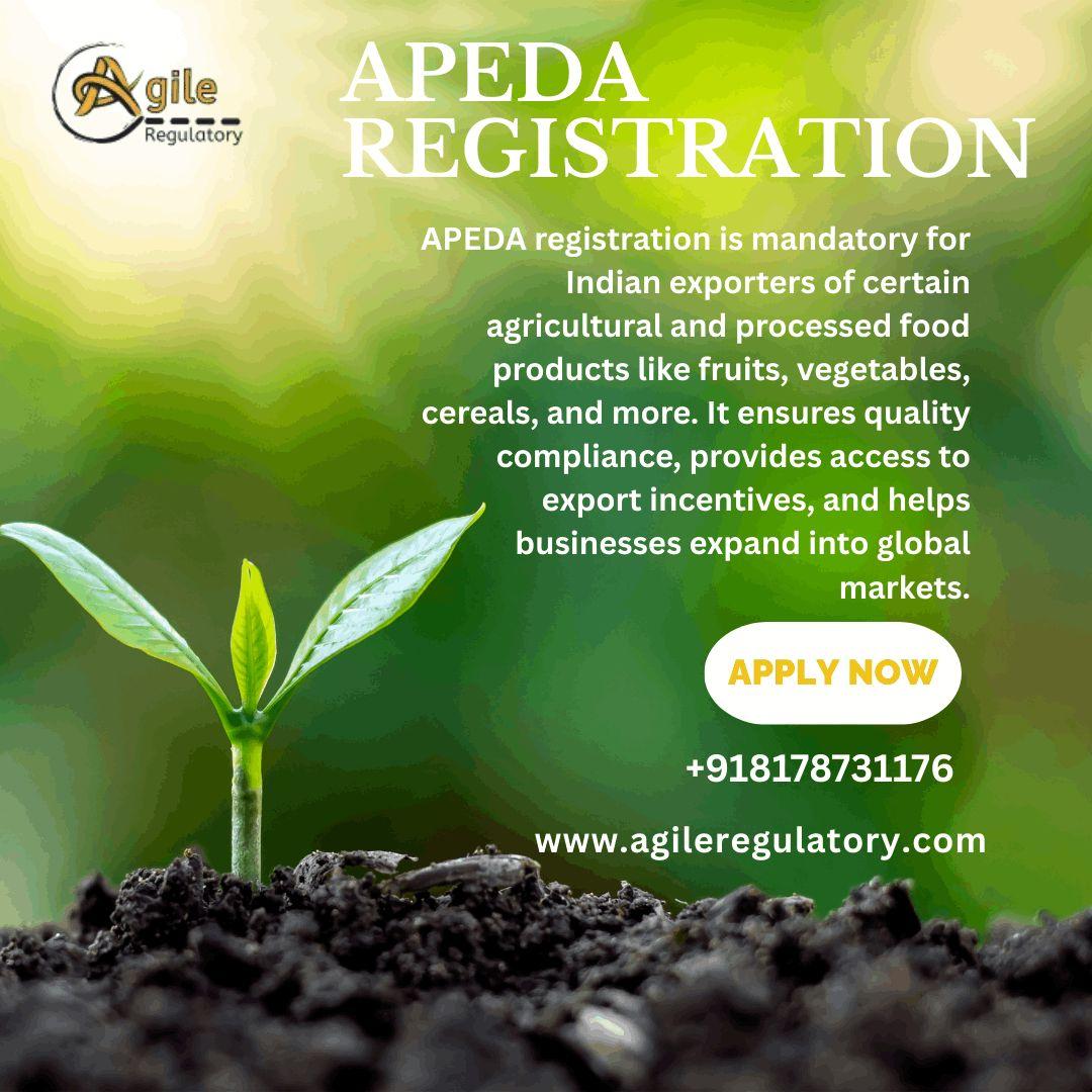APEDA Registration Start Exporting Legally!