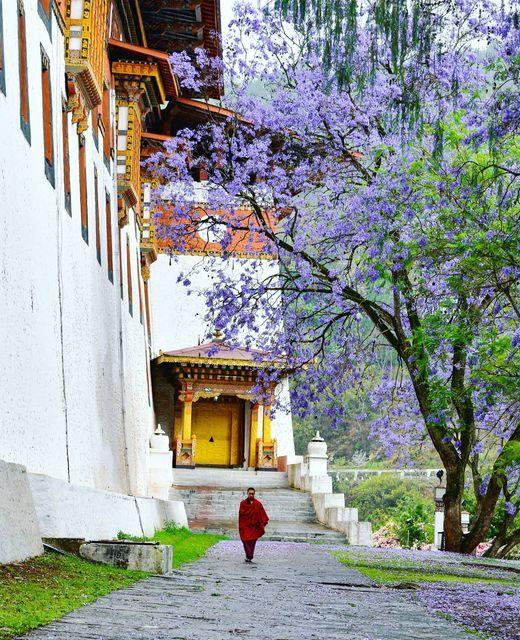 Book Your Bhutan Package tour from Bangalore Spl Deal